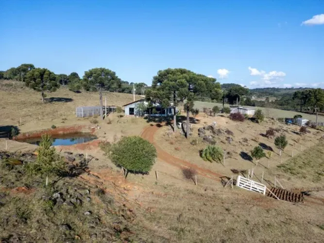 sitio 29 hectares em capao alto sc