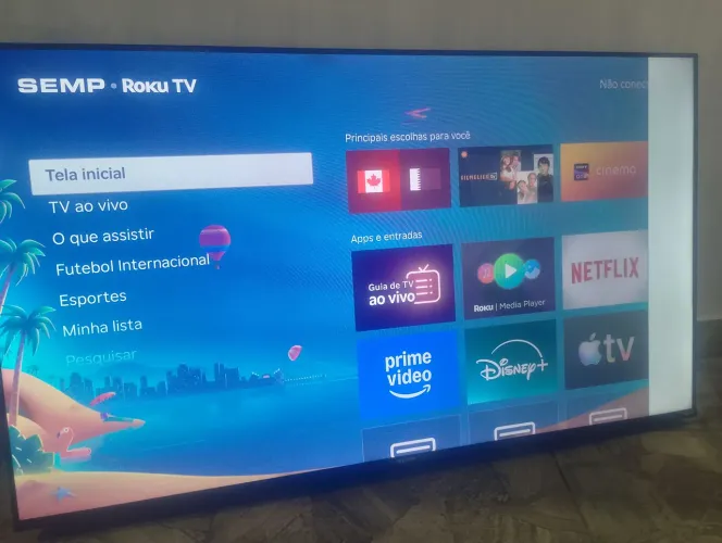 Roku tv