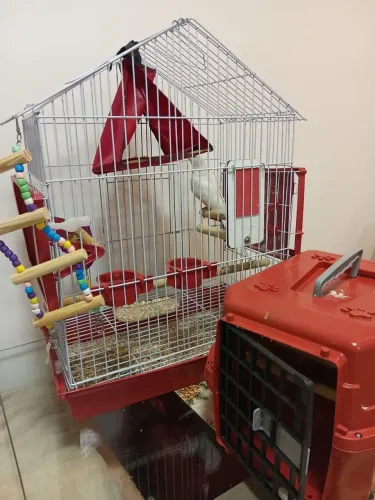 Enxoval Completo de Gaiola Casinha mais a caixa premium pet