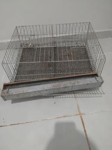 Gaiola para codorna 