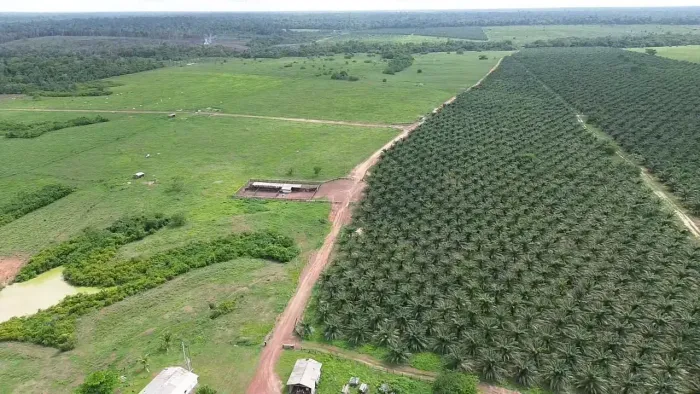 VENDE: FAZENDA 4.500 HECTARES TAILÂNDIA/TOME AÇÚ