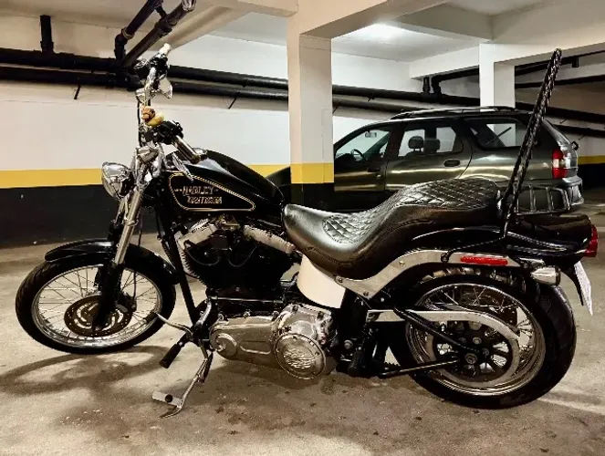Hayley Davidson SOFTAIL - FXST carburada