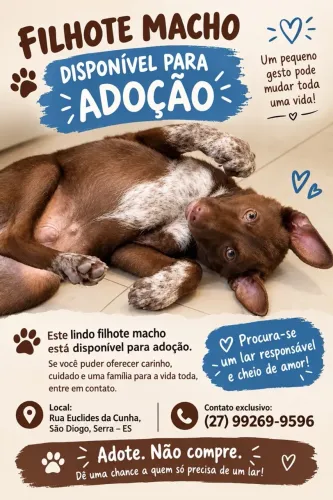 Doação