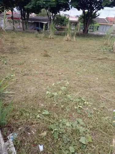 Serviços de Roçagem  / Reformas de Construção 