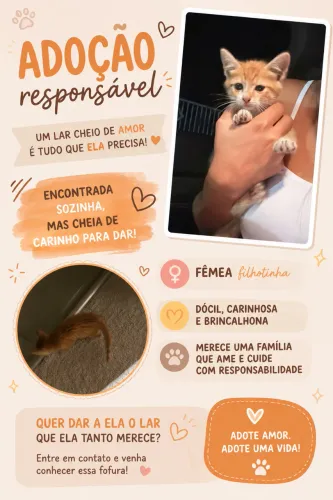 Adoção responsável