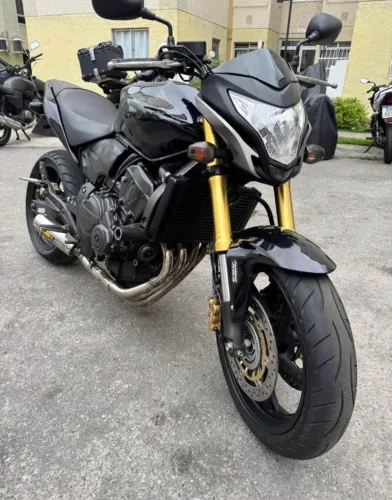 Hornet 2013 