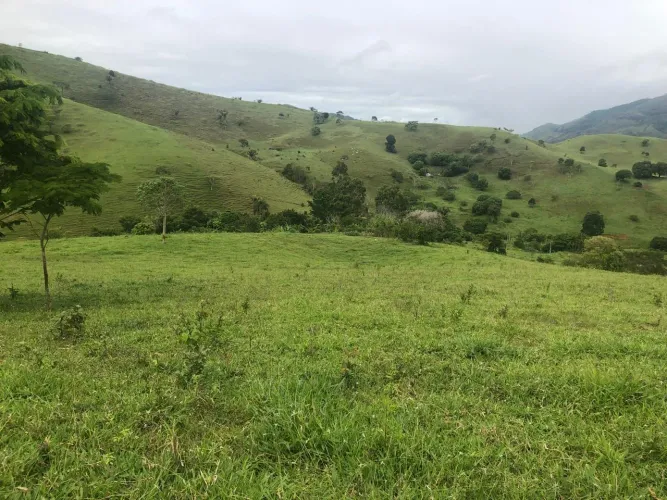 Terra a Venda em Itarantim