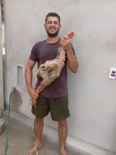 Frangos índio gigante 
