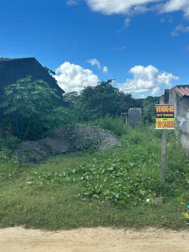 Vendo terreno