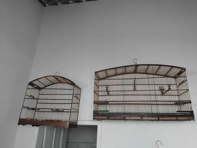 Gaiolas em madeira 