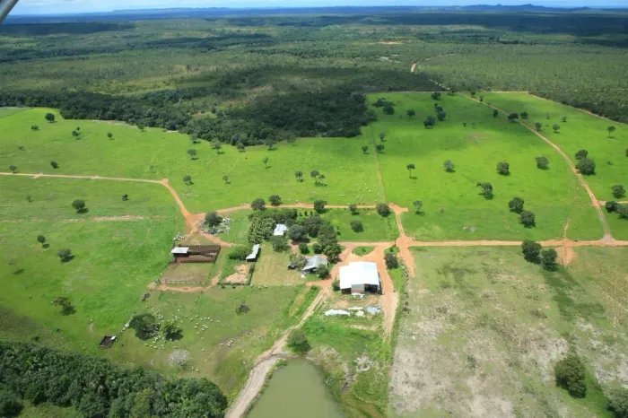 Fazenda dupla aptidão em Ponte Alta TO OPORTUNIDADE