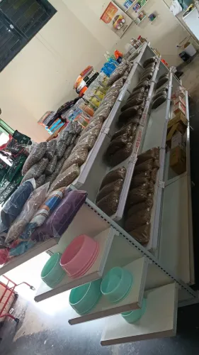 Gôndolas e Caixa 