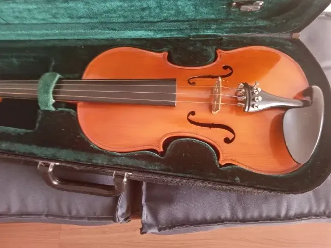 Violino Michael