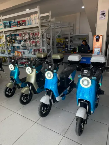 Scooter 500w ecozoom