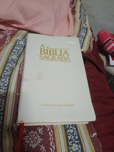 A Bíblia Sagrada Livro