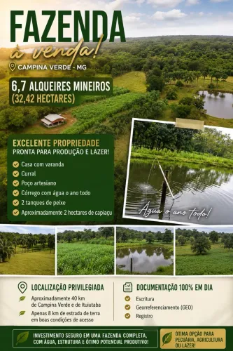 FAZENDA À VENDA - 6,7 alqueires mineiros (32.42 hectares)