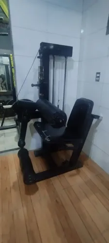 Flexora sentada 