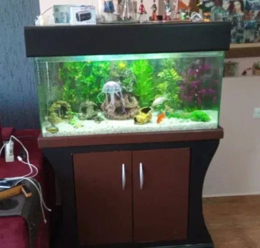 Aquário 200 litros (Leia com Atenção)