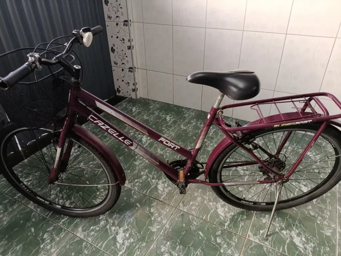 Bicicleta