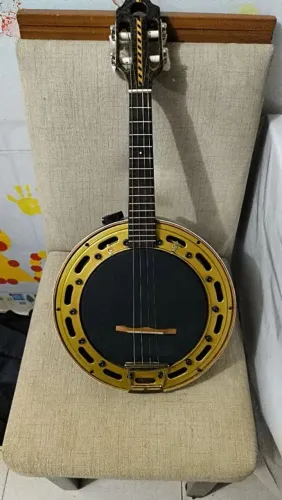 Banjo Schettini, dois captadores, troco por violão 12 cordas elétrico, aceito oferta.