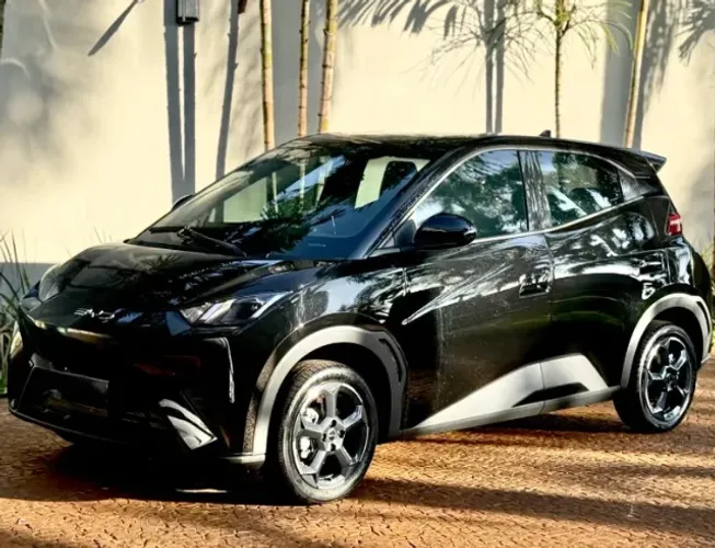 BYD Dolphin Mini (Elétrico) 2024
