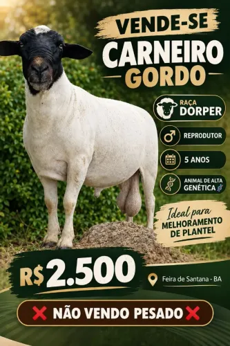 Topado