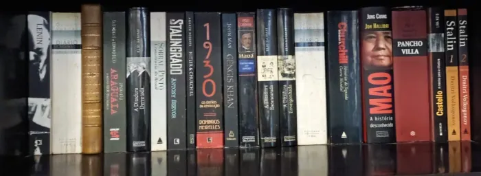 Coleção de Livros de História e Política - Biografias | Lote
