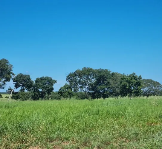 Fazenda Premium a 95 km de Cuiabá: Estrutura Completa e Pastagens Formada