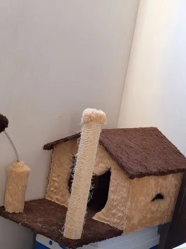 Casinha para gato com arranhador