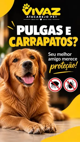 Proteção contra pulgas e carrapatos