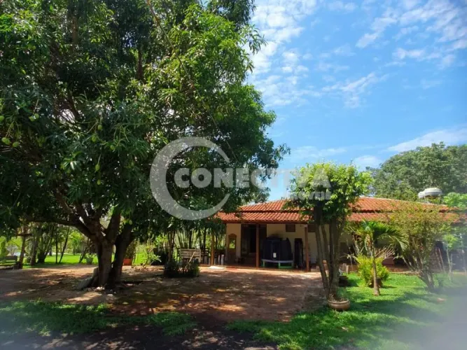 Chácara à Venda em Trindade, Goiás - 2 Alqueires, Casa com 5 Quartos, Piscina