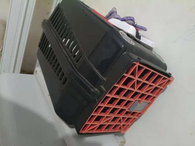 Vendo
