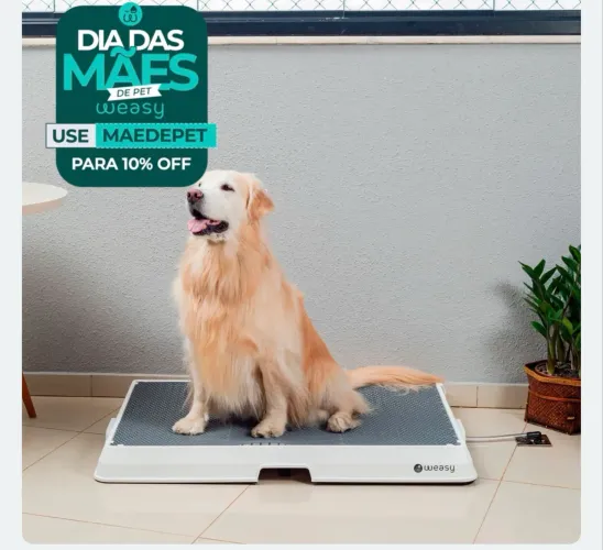 Weasy banheiro inteligente 
