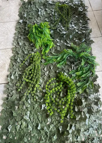 Muro de plantas