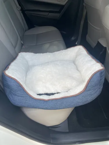 Cama para pet