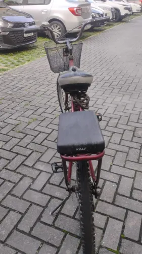 Bicicleta adulto 