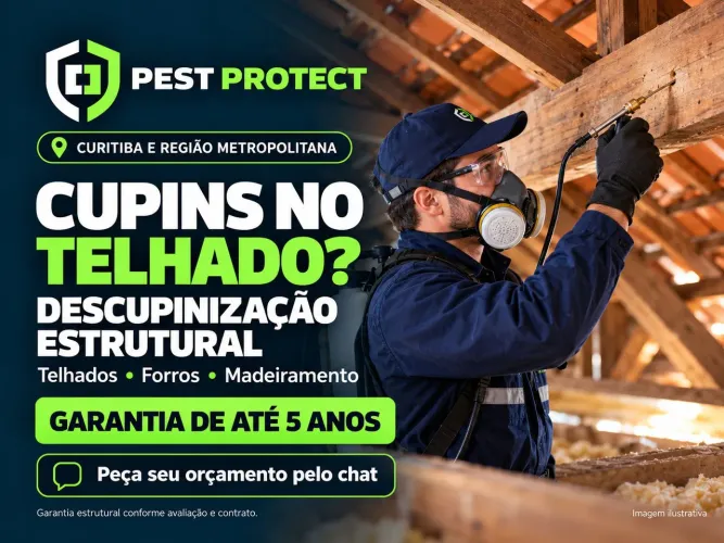 Descupinização de telhados e móveis em Curitiba