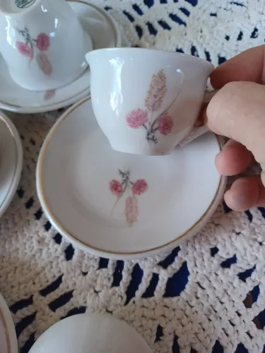 Jogo de café porcelana pozzani 