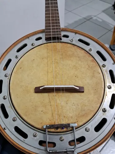 Banjo rozini