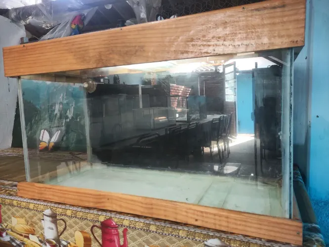 Aquário 200 litros