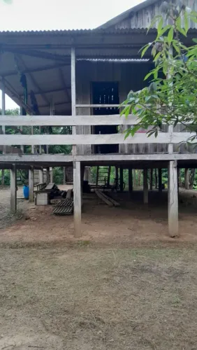 Vende-Se Colônia na Estrada de Sena Madureira 
