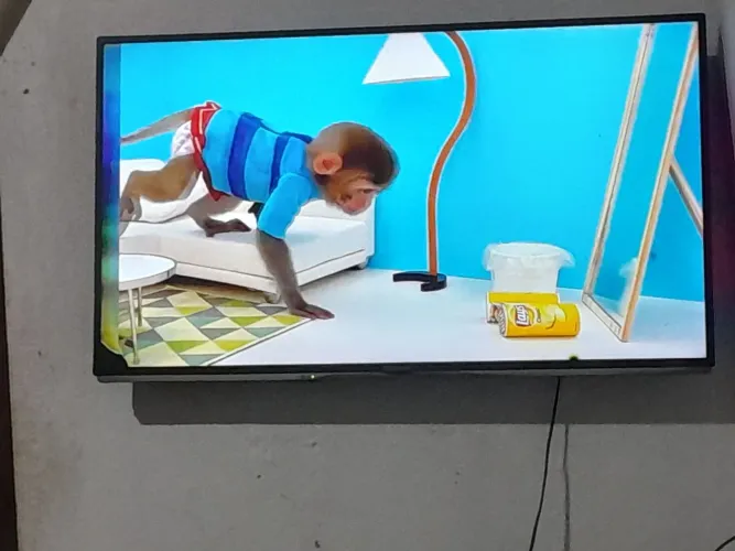Vendo tv Panasonic 