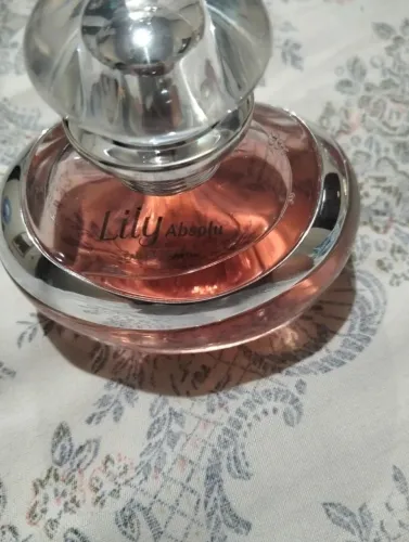 Perfumes novos bom estado fragrâncias variadas