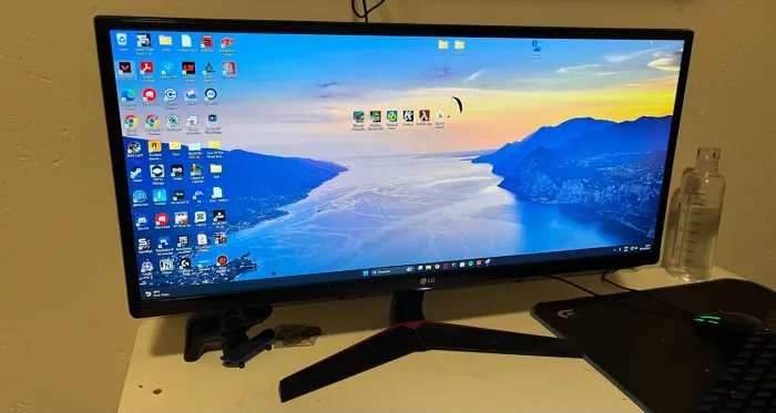 Monitor Ultrawide