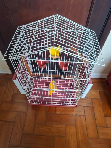 Gaiola para Calopsita