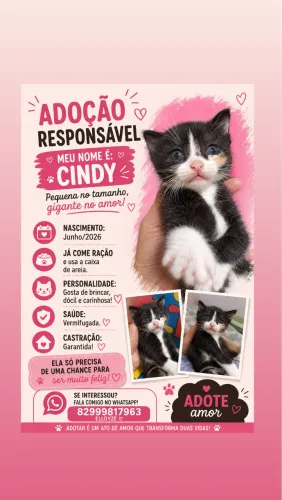 Adoção Responsável
