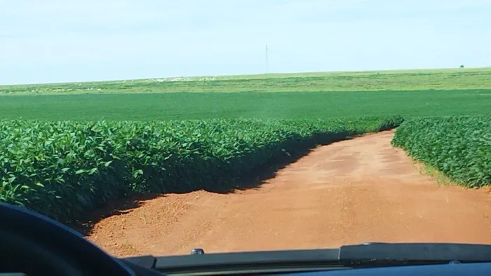 Fazenda 1.125 hec. em Jaciara MT. 550 hect abertos R$:30 milhões