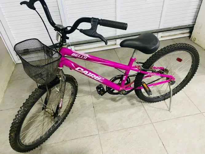 Bicleta