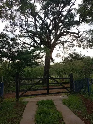 OPORTUNIDADE EXCLUSIVA