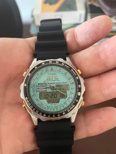 Citizen Wingman Promaster C080